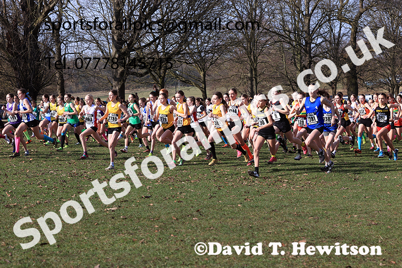 Girls under-13s 2025 UK CAU Inter Counties Cross Country Champs., Wollaton Park, Nottingham. Photo: David T. Hewitson/Sports for All Pics
